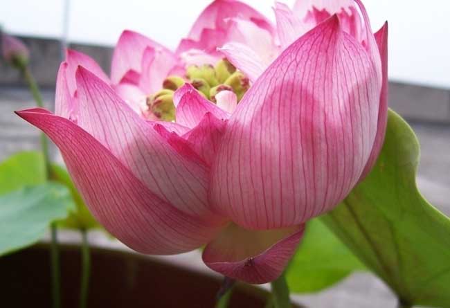 1630396087755333.jpg 1630396087755333.jpg