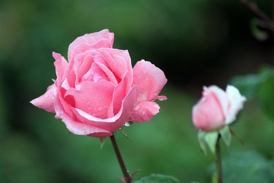 1630397198515496.jpg 1630397198515496.jpg