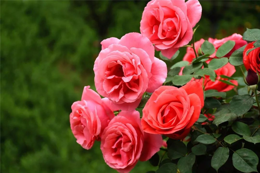 1630397220725404.jpg 1630397220725404.jpg