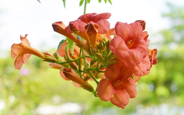 1630397513529564.jpg 1c3409d88da9e1f4361e1eb930a42184_t01329a08ab75945c9c.jpg