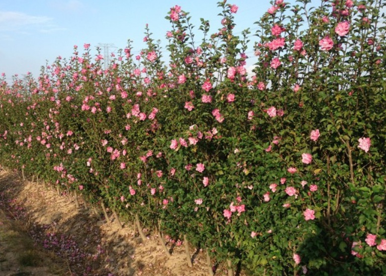 1630399012686771.jpg 目鏡書1.jpg