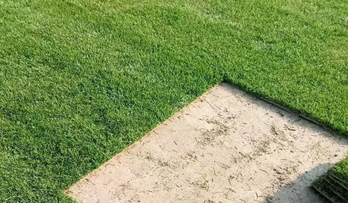 1630416752911837.jpg image.jpg