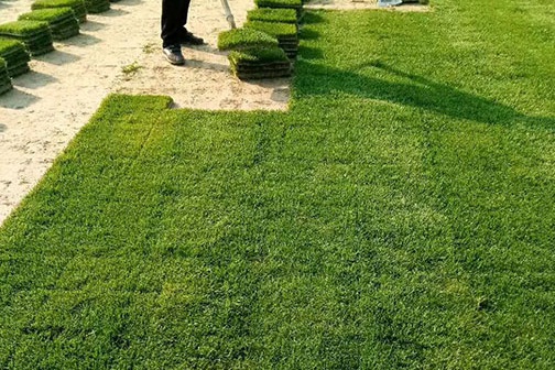 1630416761842523.jpg image.jpg