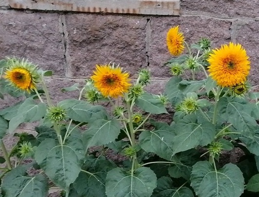 1630416999378874.jpg image.jpg