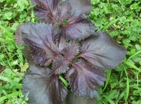 1630417462382880.jpg image.jpg