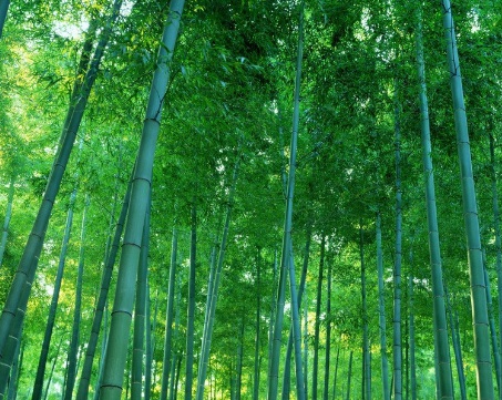 1630417691321056.jpg image.jpg