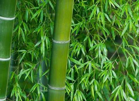 1630417709644086.jpg image.jpg