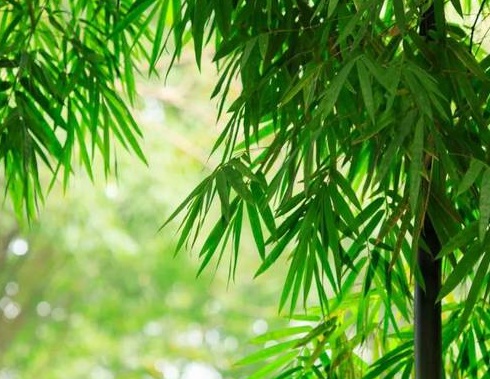 1630417718839390.jpg image.jpg