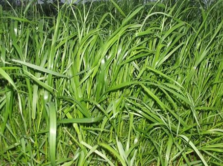 1630418023948004.jpg image.jpg