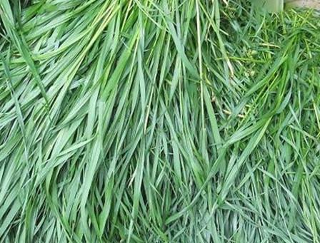 1630418032174225.jpg image.jpg