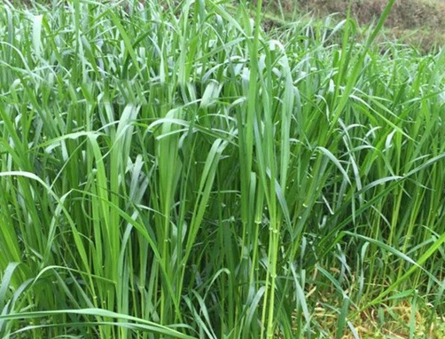 1630418055408356.jpg image.jpg