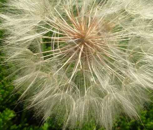 1630418189270885.jpg image.jpg