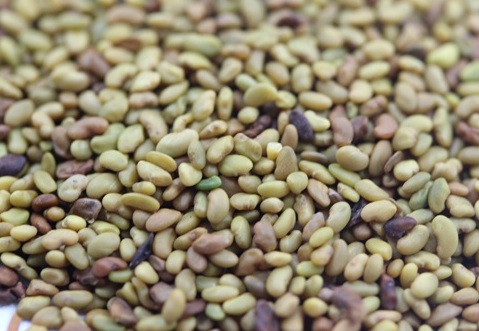 1630418762383855.jpg image.jpg