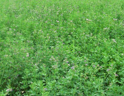 1630418789488588.jpg image.jpg