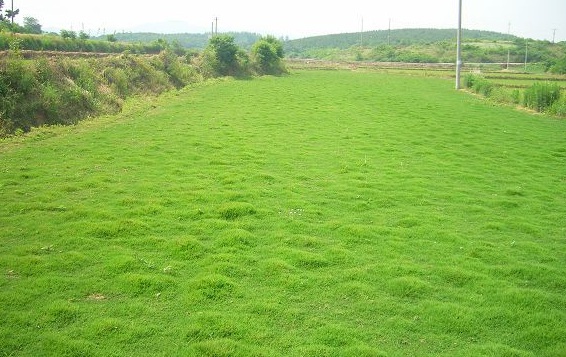 1630452911102668.jpg image.jpg