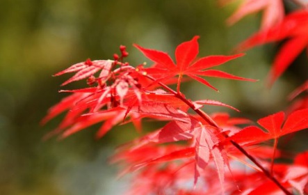 1630453102751328.jpg image.jpg