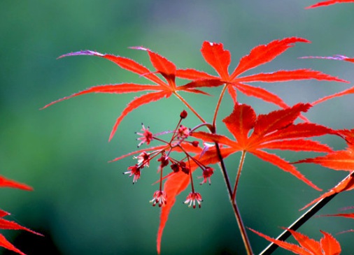 1630453111570949.jpg image.jpg