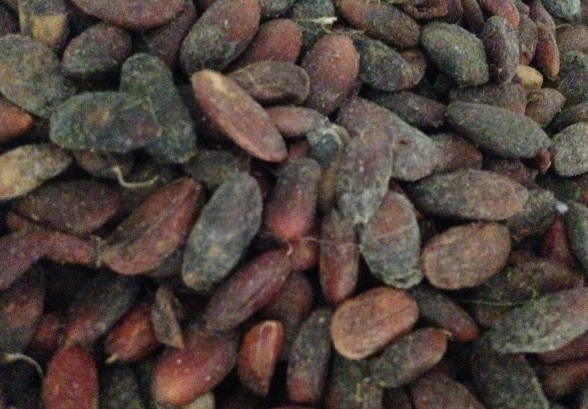 1630480129904158.jpg image.jpg