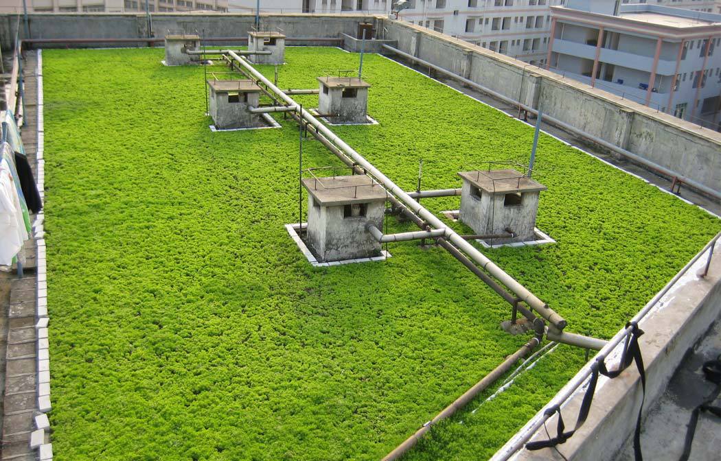 1630487545255570.jpg 3a51db9ebb55aae794ff5f889697a49c_1622714394650907.jpg