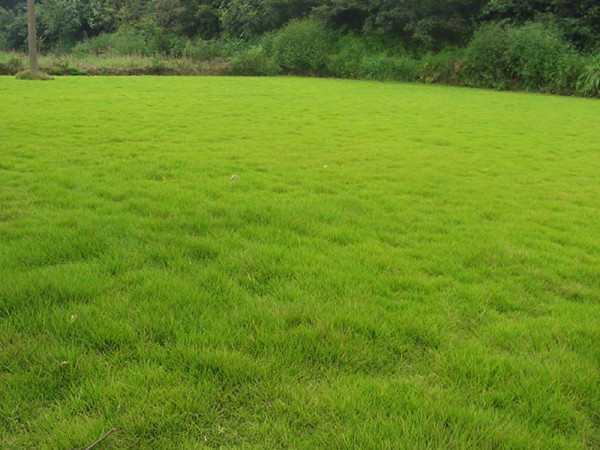 1630488296208863.jpg 3.jpg