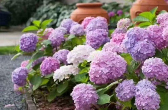 1630498397486219.jpg image.jpg