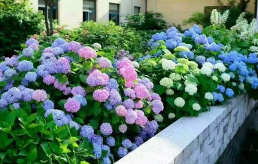 1630498421819418.jpg image.jpg