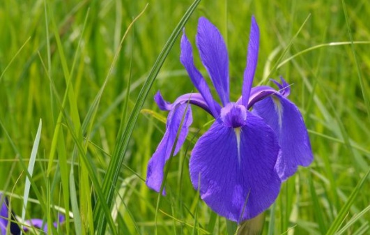 1630498548288005.jpg image.jpg