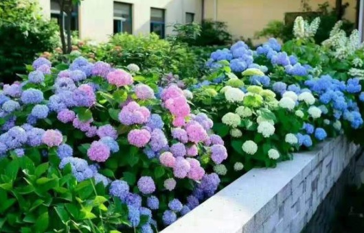 1630500593677758.jpg image.jpg