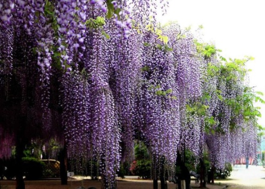 1630502439701887.jpg image.jpg