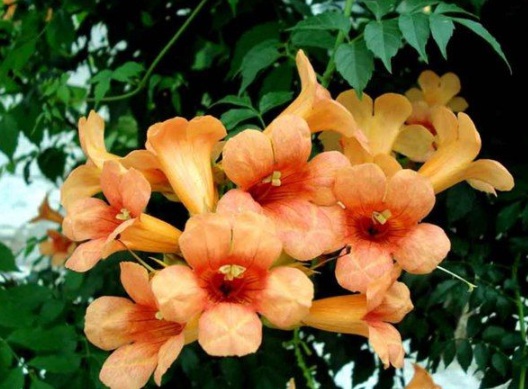 1630503503632169.jpg image.jpg