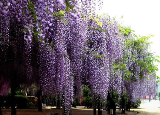 1630503808676123.jpg image.jpg