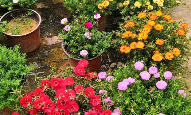 1630503980519078.jpg image.jpg