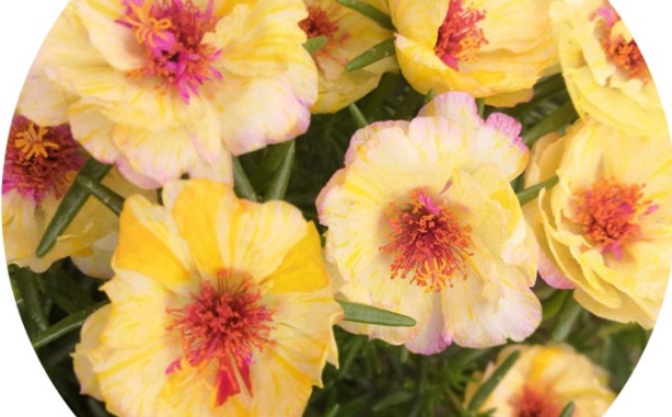 1630503998187602.jpg image.jpg