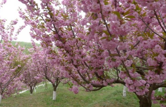 1630547106633221.jpg image.jpg