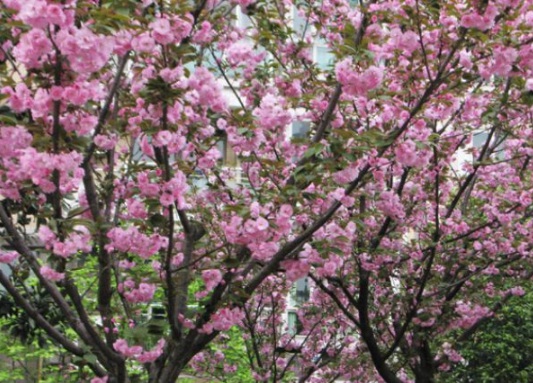 1630547131254996.jpg image.jpg