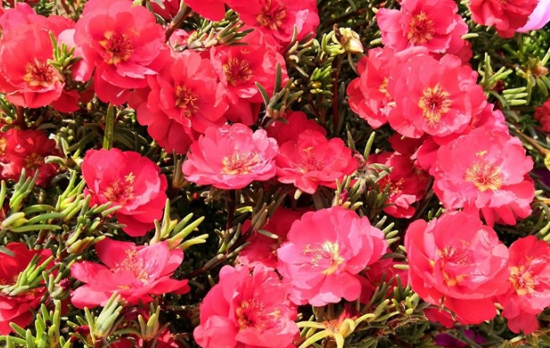 1630547929457951.jpg image.jpg