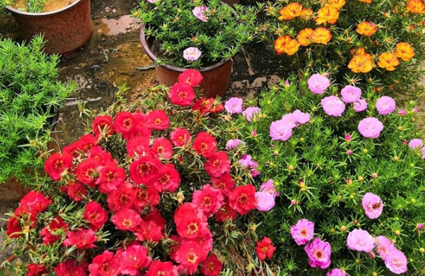 1630547945111057.jpg image.jpg