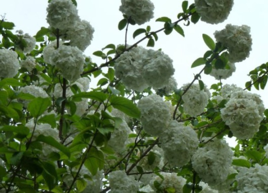 1630548400535998.jpg image.jpg