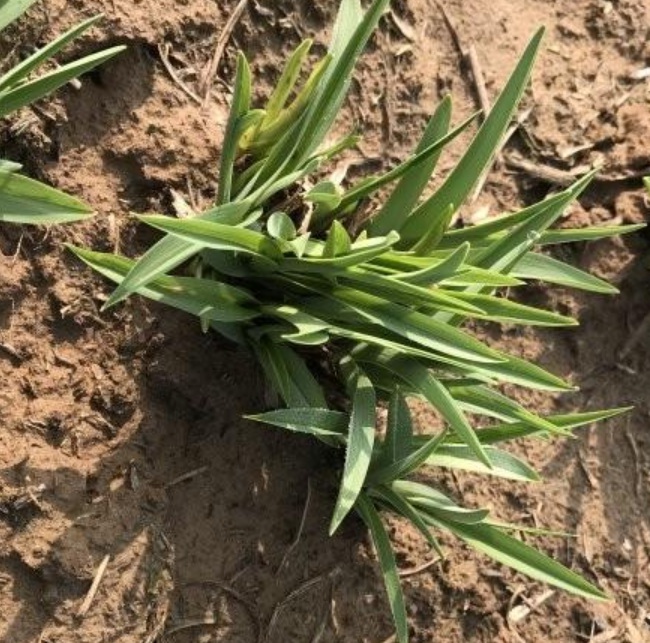 1630637840616770.jpg image.jpg