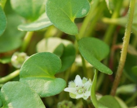 1630666380975780.jpg image.jpg