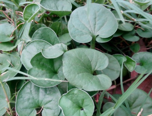 1630666394516365.jpg image.jpg