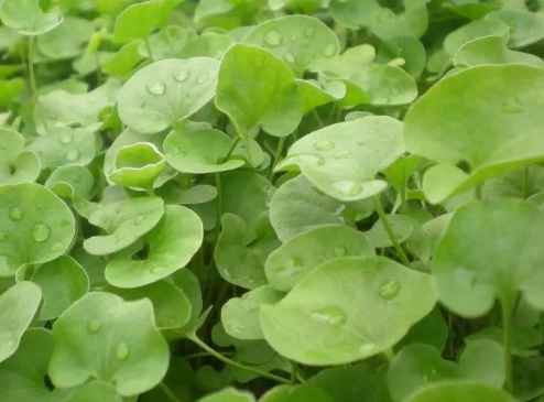 1630666404105112.jpg image.jpg