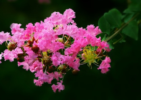 1630666529860344.jpg image.jpg