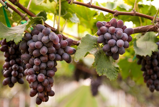 1630674126202407.jpg image.jpg