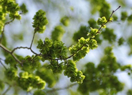 1630675145769305.jpg image.jpg