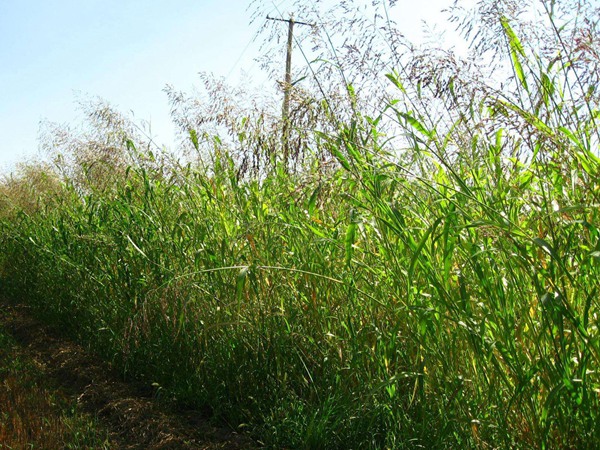 1630748345660084.jpg 8254daa56d88554a0b3f38c4400866fe_1563813967818699.jpg