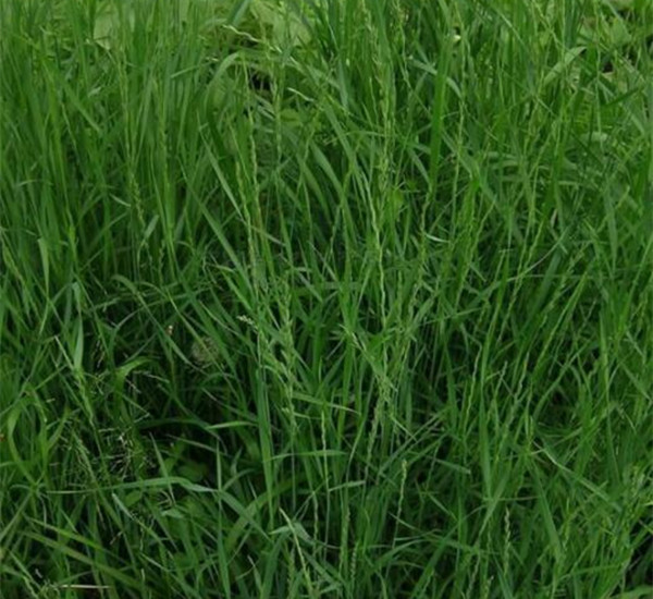 1630749052544916.jpg 2.jpg