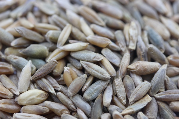 1630750890687222.jpg 47daba21b0389d402a6629e027b63077_1561945411773216.jpg