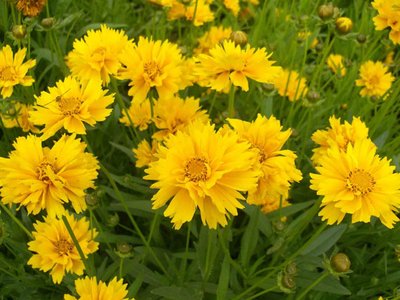 1630761581879347.jpg 1630761581879347.jpg