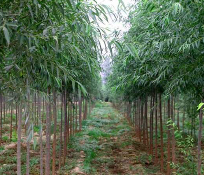 1630762983583790.jpg 1630762983583790.jpg